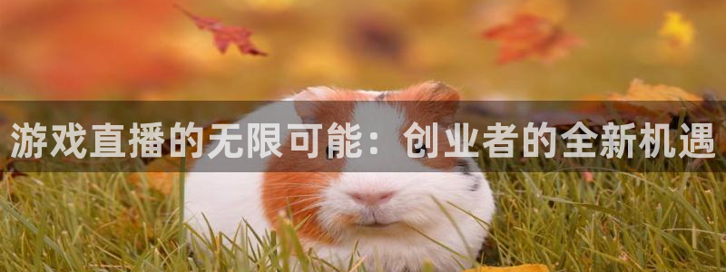 长征娱乐平台官网客服电话：游戏直播的无限可能：创业者的全新机
