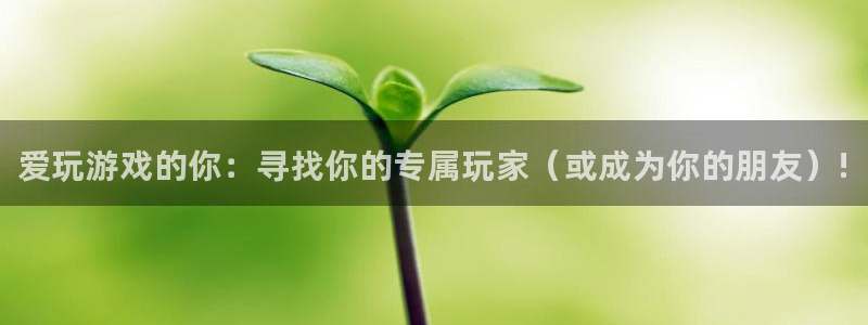 长征娱乐平台负责人：爱玩游戏的你：寻找你的专属玩家（或成为你