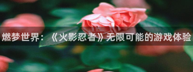 长征娱乐娱乐：燃梦世界：《火影忍者》无限可能的游戏体验