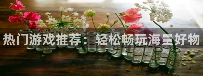 长征娱乐平台官网登录：热门游戏推荐：轻松畅玩海量好物