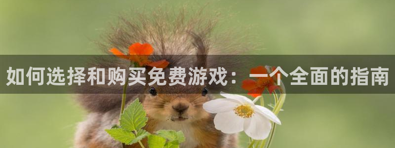 长征娱乐网页登录入口下载：如何选择和购买免费游戏：一个全面的