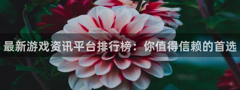 长征娱乐代理登陆：最新游戏资讯平台排行榜：你值得信赖的首选