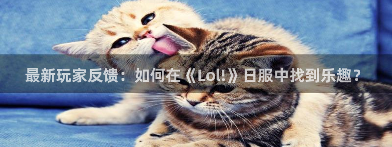 长征娱乐升级5994月：最新玩家反馈：如何在《Lol!》日服