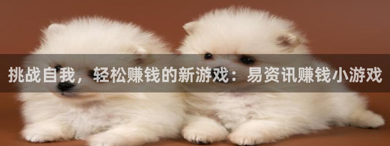 长征娱乐在线登录：挑战自我，轻松赚钱的新游戏：易资讯赚钱小游