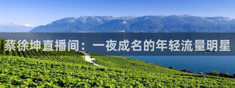乐球免费直播在线观看：蔡徐坤直播间：一夜成名的年轻流量明星