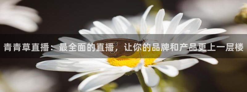 乐球tv：青青草直播：最全面的直播，让你的品牌和产品更上一层楼