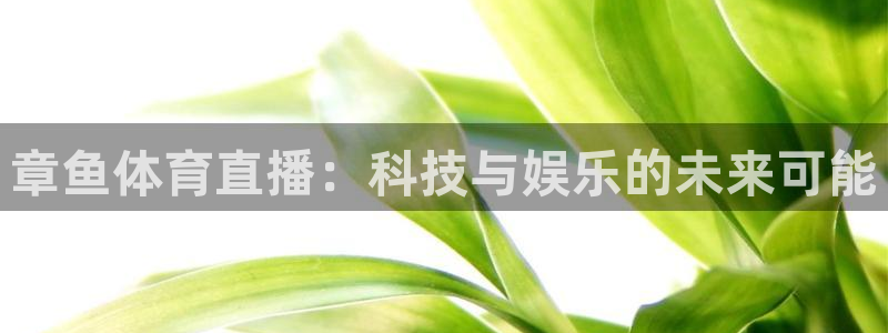 乐球吧低调看nba直播：章鱼体育直播：科技与娱乐的未来可能