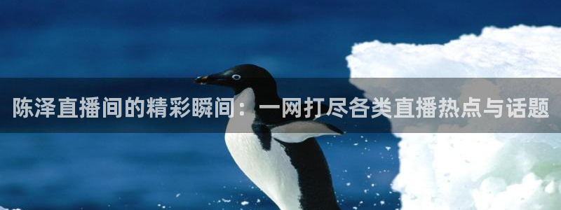 乐球体育直播app下载：陈泽直播间的精彩瞬间：一网打尽各类直播热点与话题